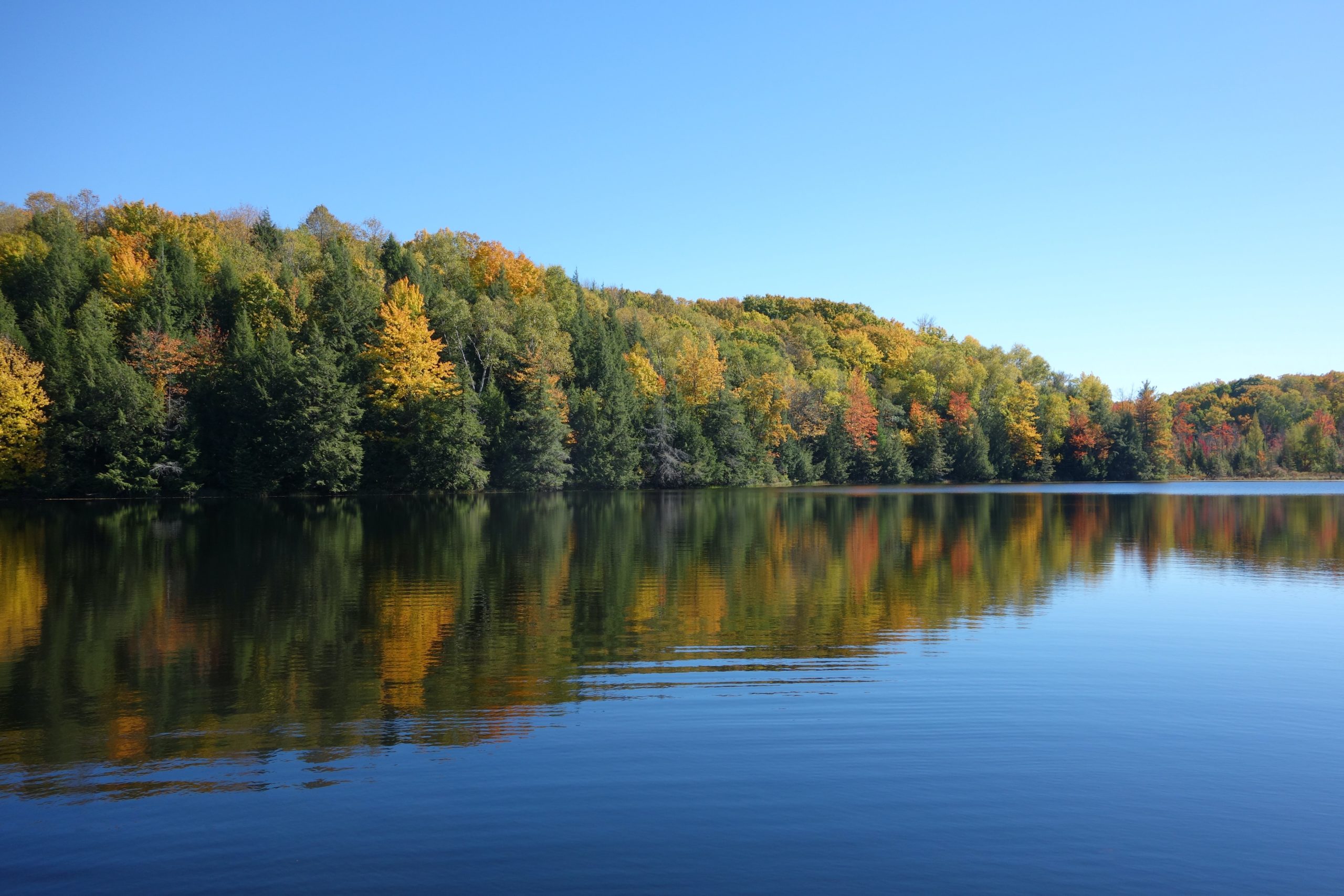 Lac